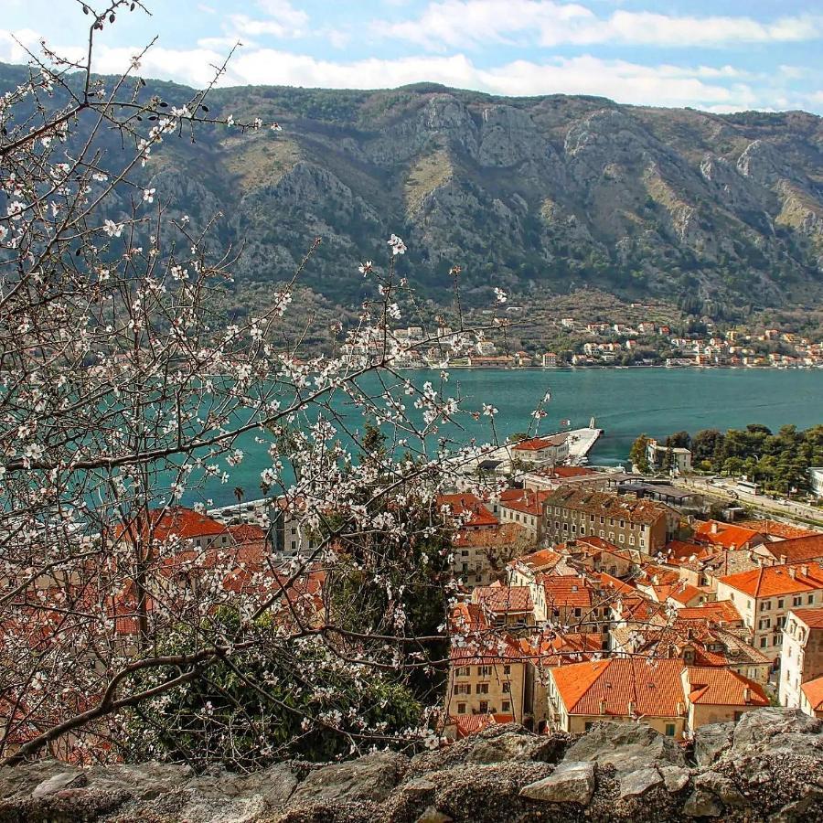 Old Town Boskovic Apartment Kotor Extérieur photo